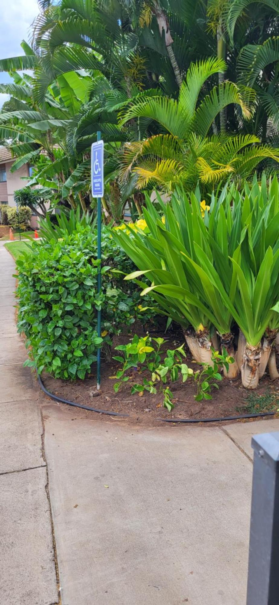 Kihei Kai Nani Resort Экстерьер фото